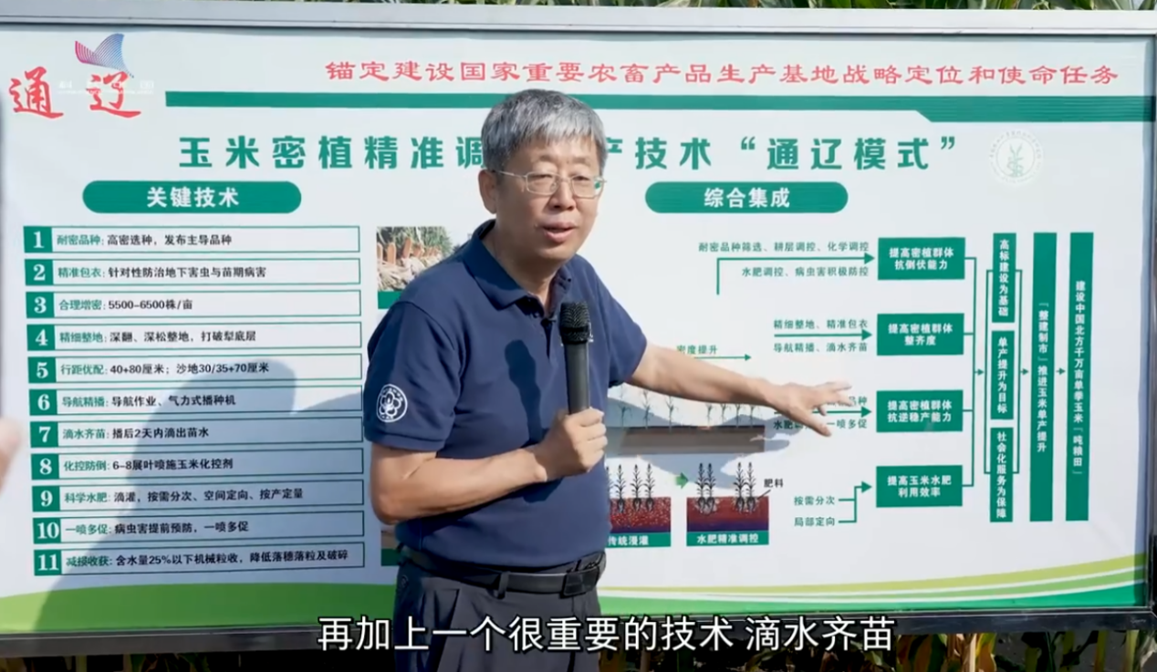 全国粮食安全宣传周｜玉米&ldquo;吨粮田&rdquo;里的科技密码